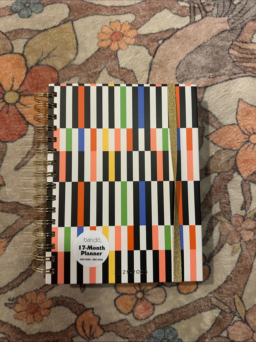 ban.do Multicolor Striped Planner with Gold Elastic
